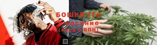 прущие крисы Арсеньев
