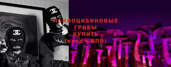 кокс Баксан