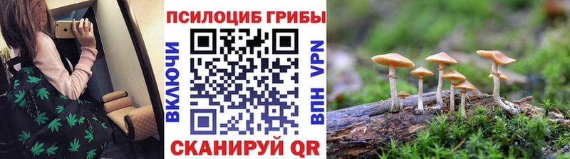 Галлюциногенные грибы мицелий  цены наркотик  Светлый 