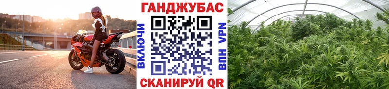 Бошки Шишки планчик  купить   Светлый 